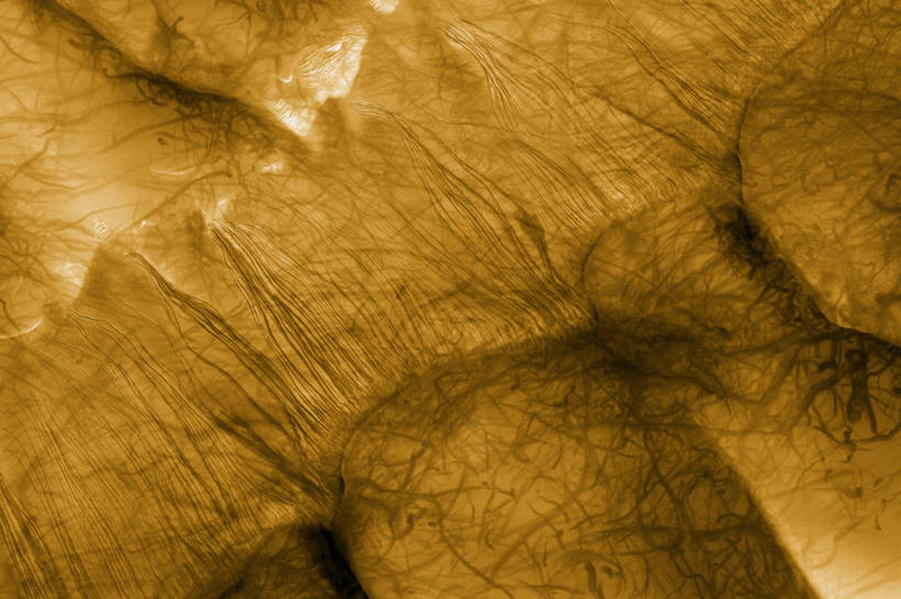 无人,横图,尘卷,地形,沙丘,霜,摄影,地质学,彩图,空间探索