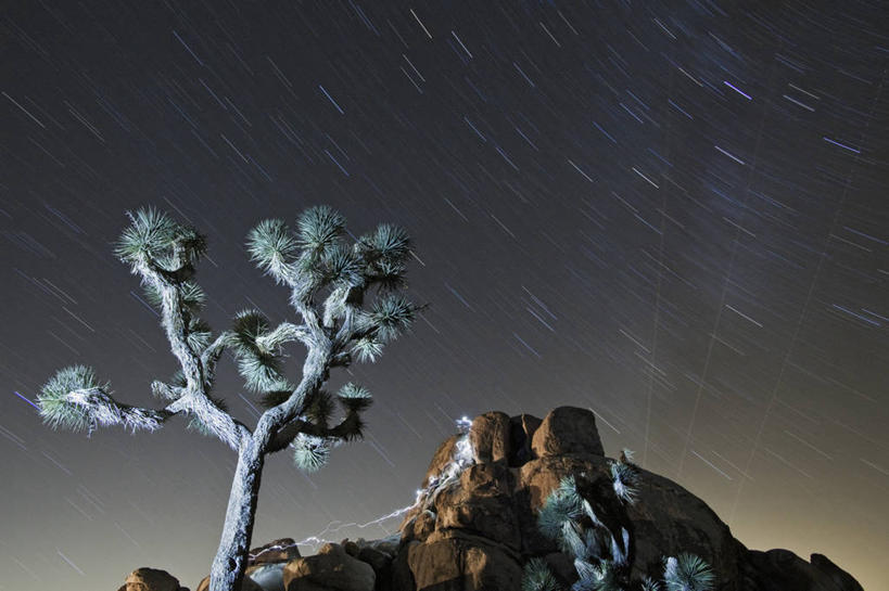 无人,公园,攀登,横图,室外,夜晚,长时间曝光,美国,科学,星星,摄影,北美,北美洲,国家公园,加利福尼亚,美洲,加州,加利福尼亚州,金州,黄金州,北亚美利加洲,亚美利加洲,约书亚树国家公园,岩石,休闲活动,彩图,旅行,美利坚合众国