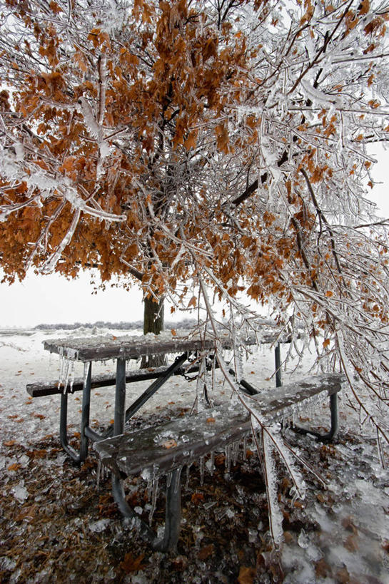 无人,竖图,室外,白天,雪,美国,科学,长椅,冰,冬天,天气,树,摄影,气象学,彩图,爱荷华