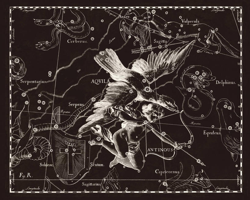 无人,横图,黑白,鹰,地图,科学,星星,摄影,星座,手艺,箭术,天文学,拉丁文,雕刻术