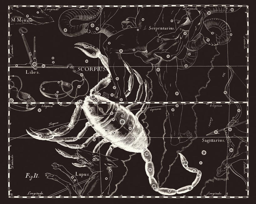 无人,横图,黑白,地图,科学,星星,摄影,星座,手艺,蝎子,天文学,天蝎座,拉丁文,雕刻术