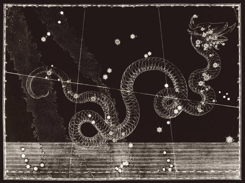 无人,横图,黑白,地图,科学,蛇,星星,摄影,巨蛇座,星座,手艺,天文学,雕刻术