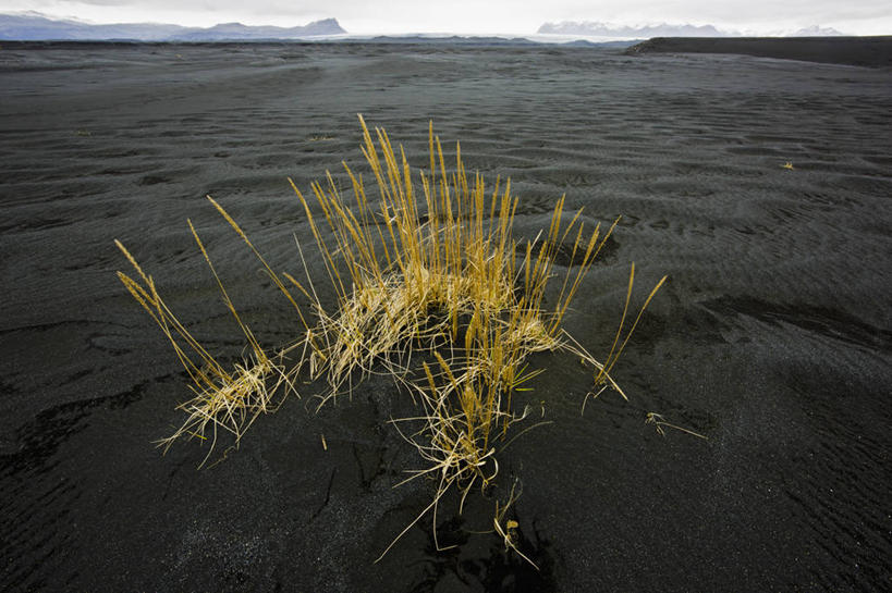 无人,横图,室外,白天,沙子,草,黑色,熔岩,摄影,彩图