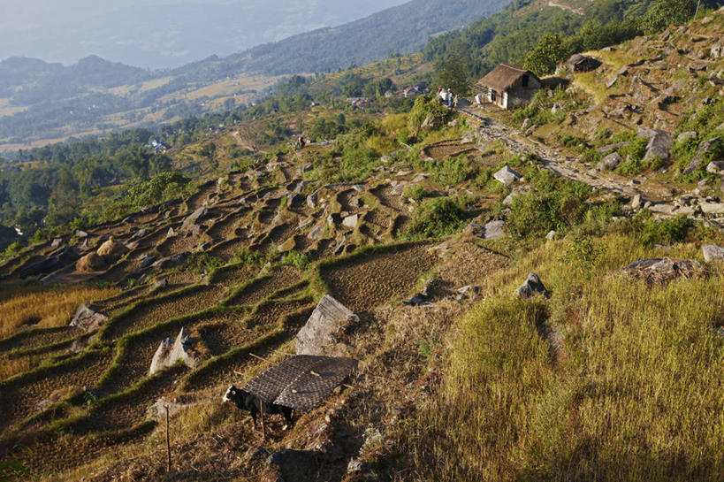 横图,室外,白天,农业,石头,山,尼泊尔,亚洲,墙,田地,乡村,草,摄影,喜马拉雅山脉,岩石,彩图