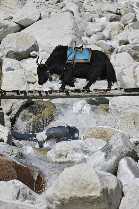 无人,露台,竖图,室外,白天,阳台,尼泊尔,桥,摄影,岩石,牦牛,爬山,彩图,露天阳台,横越