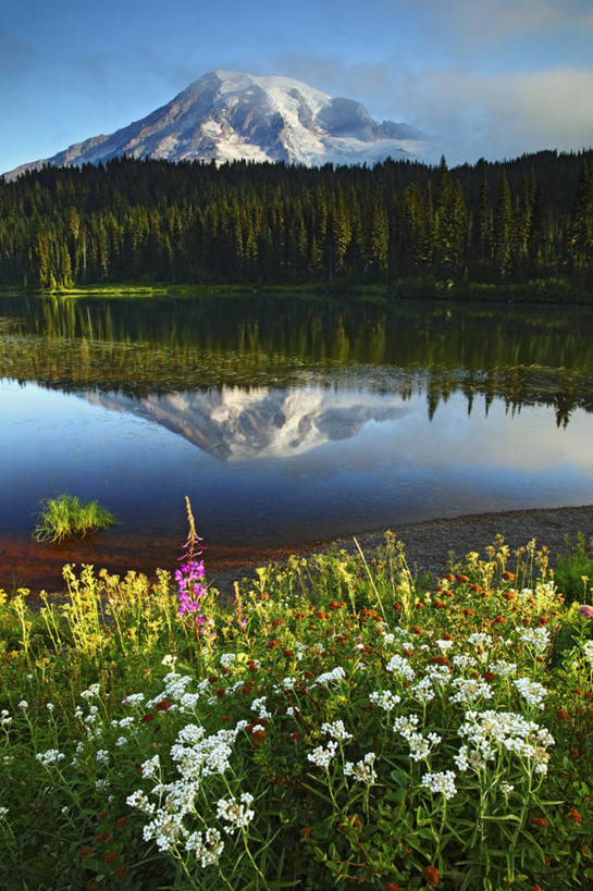 无人,公园,竖图,室外,白天,日出,湖,火山,瀑布,森林,山,华盛顿,美国,反射,地形,杂草,花,地标建筑,安静,摄影,宁静,北美,北美洲,国家公园,早晨,清新,美洲,华盛顿州,卡斯基德山脉,雷尼尔山国家公园,瑞尼尔山国家公园,常绿之州,常青州,北亚美利加洲,亚美利加洲,地质学,彩图,皮尔斯县