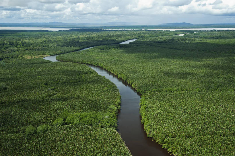 无人,横图,室外,白天,河流,棕榈树,马来西亚,亚洲,树,摄影,东南亚,环境保护,潘塔纳尔湿地,婆罗洲岛,马来西亚联邦,沙巴州,彩图,生态多样性