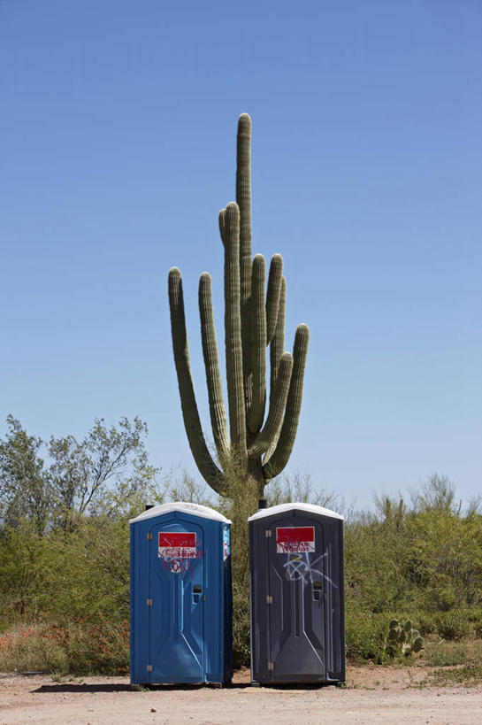 无人,竖图,室外,白天,沙漠,仙人掌,美国,摄影,幽默,亚利桑那,流动厕所,彩图