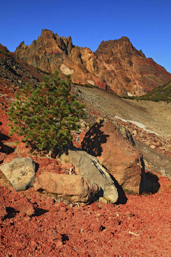 无人,竖图,室外,白天,火山,山,美国,条纹,科学,地形,巨石,地标建筑,摄影,俄勒冈州,地质学,死火山,岩石,彩图