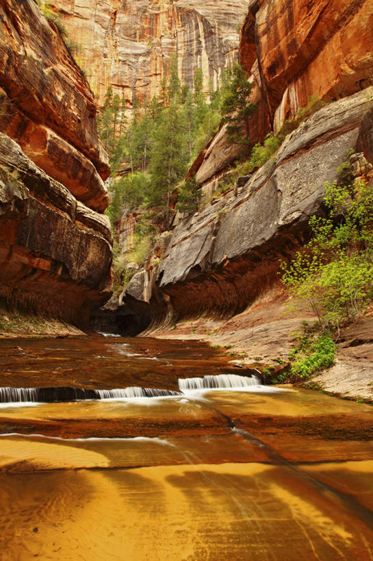 无人,竖图,室外,白天,瀑布,峡谷,美国,地形,悬崖,小溪,地标建筑,摄影,犹他,地质学,彩图,旅行