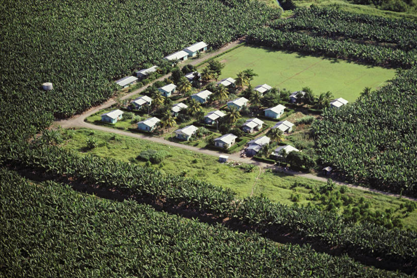 无人,横图,俯视,航拍,室外,白天,农业,香蕉,水果,洪都拉斯,房屋,摄影,热带气候,鸟瞰,彩图,高角度拍摄