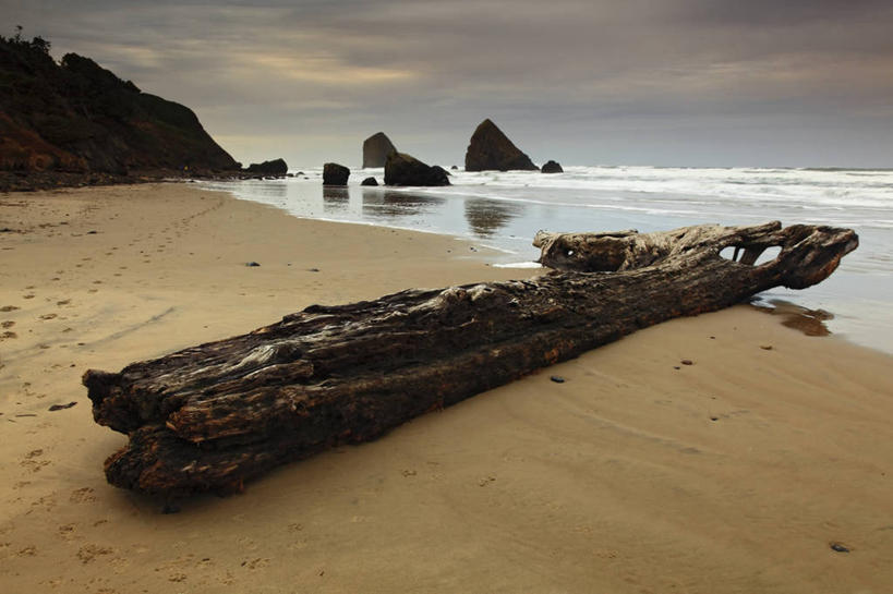 无人,横图,室外,白天,海浪,海洋,美国,浮木,沙子,地形,摄影,太平洋,圆木,俄勒冈州,海滩,岩石,彩图,旅行,独处