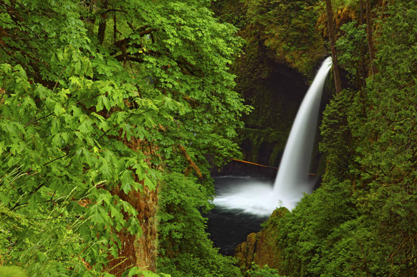 无人,横图,室外,白天,瀑布,枫树,美国,地形,悬崖,摄影,清新,纯净,俄勒冈州,哥伦比亚河谷,地质学,死水,彩图