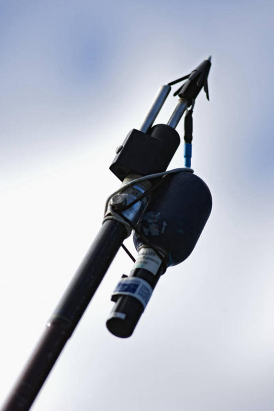 无人,竖图,技术,数据,澳大利亚,科学,一个,摄影,单个,大白鲨,矛,环境保护,南澳大利亚,彩图