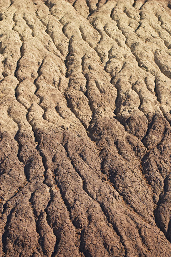 无人,竖图,特写,抽象,沙漠,美国,科学,地形,摄影,亚利桑那,粘土,国家公园,地质学,沙岩,石化森林国家公园,彩图