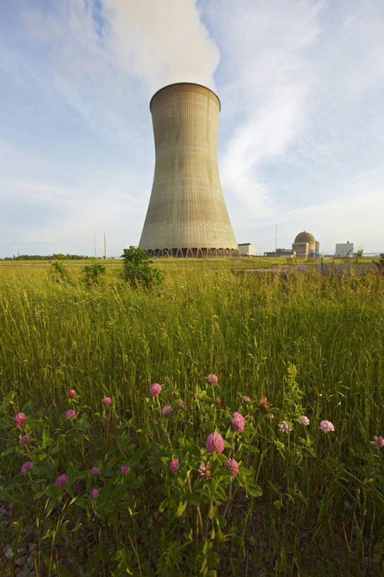 无人,竖图,安全,美国,环保,蒸汽,云,塔,混凝土,野花,放射,草,花,绿色,平原,摄影,能源,电,电源,回收,资源,核反应堆,恐怖,原子,改变,反差,利用,低碳,循环,替代能源,冷却塔,密苏里,持续,危险,彩图,反话