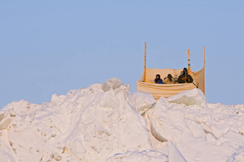成年人,中年人,三个人,科学家,横图,留白,建筑业,北极,全球变暖,美国,研究,科学,冰,浮冰,摄影,生物学,监视,伯爵,北极露脊鲸,男人,中年男性,彩图,冰架
