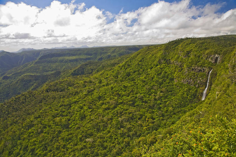 无人,横图,室外,瀑布,森林,毛里求斯,地形,绿色,摄影,热带气候,纯净,地貌,彩图,旅行,雨林