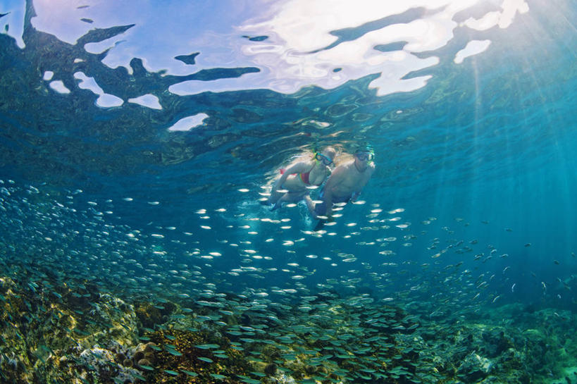 西方人,成年人,两个人,横图,水下,墨西哥,欧洲,欧洲人,鱼群,鱼类,动物,摄影,拉丁美洲,浮潜,下加利福尼亚州,年轻男性,年轻女性,白种人,年轻人,暗礁,休闲活动,彩图