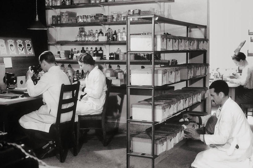 西方人,成年人,中年人,四个人,医生,横图,黑白,侧面,欧洲,美国,欧洲人,研究,科学,显微镜,首都,历史,架子,瓶子,摄影,癌症,华盛顿特区,白血病,男人,中年男性,中年女性,白种人