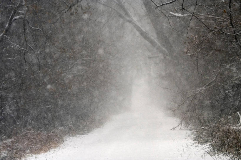 无人,横图,室外,白天,森林,雪,暴风雨,路,美国,下雪,自然灾害,天气,摄影,气象学,彩图,爱荷华