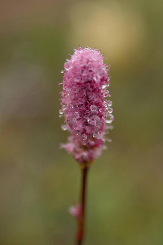 无人,横图,室外,夜晚,安全,飞机,美国,军事,圆锥,一个,力量,战争,摄影,电灯,空军,单个,飞行器,战斗机,打斗,进攻,军用机,座舱,科罗拉多州,F-16战隼战斗机,蝰蛇,技能,彩图