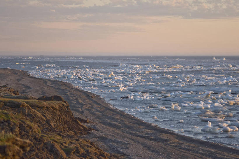 无人,横图,室外,白天,北极,海洋,全球变暖,美国,滑,融化,冰,自然,夏天,摄影,气象,气候,北冰洋,国家野生动物保护区,海滩,彩图,冰架