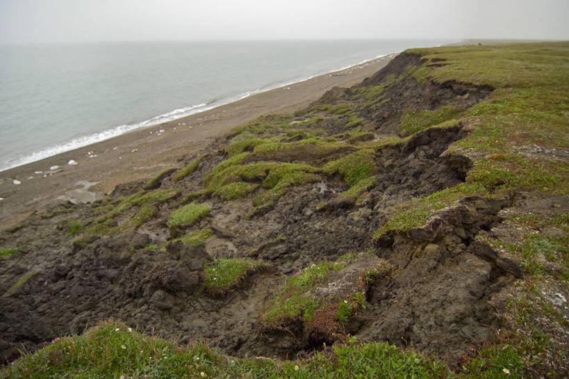 无人,横图,室外,白天,北极,全球变暖,美国,滑,融化,地形,陆地,野花,北,草,花,自然,摄影,环境,北冰洋,海景,国家野生动物保护区,海滩,彩图,波弗特海