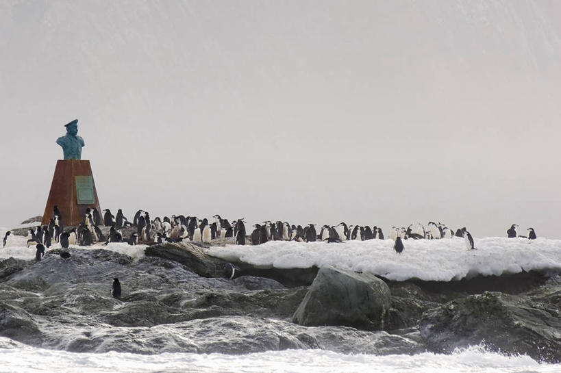 无人,横图,室外,白天,留白,旅游,度假,探险,企鹅,野生动物,一群,许多,很多,历史,娱乐,动物,地标建筑,享受,休闲,放松,可爱,摄影,活泼,纪念,留念,生态,帽带企鹅,怀念,南极半岛,胡须企鹅,颊带企鹅,象岛,彩图,旅行