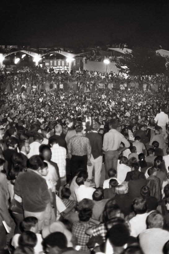 老年人,竖图,俯视,黑白,美国,战争,摄影,抗议,加利福尼亚,群众,伯克利,年轻人,高角度拍摄,社会问题,越南战争