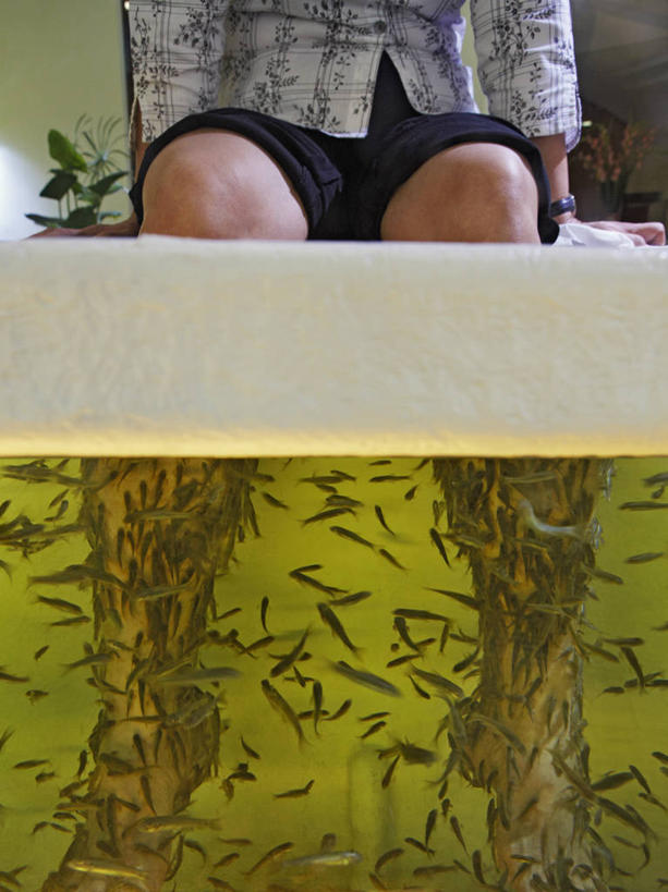 成年人,一个人,吃,竖图,室内,特写,水,热带鱼,新加坡,仅一个女性,一群,许多,水槽,很多,水斗,健康,摄影,皮肤癌,喂养,女人,彩图