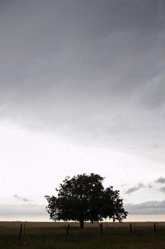 无人,新郎,竖图,室外,白天,留白,美国,篱笆,云,小路,树,天空,摄影,宁静,剪影,反差,德克萨斯,雷雨,彩图,独处