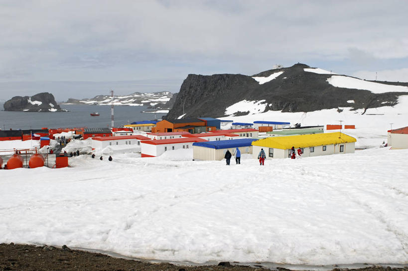 横图,室外,白天,探险,雪,科学,摄影,南极洲,乔治王岛,彩图,旅行