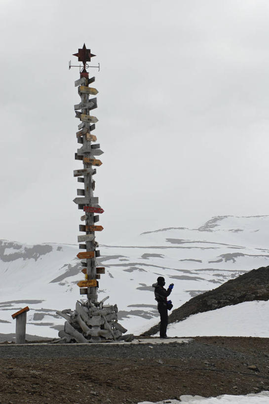 成年人,一个人,竖图,室外,白天,仅一个男性,指,指点,摄影,指向,南极洲,方向标,乔治王岛,彩图,旅行