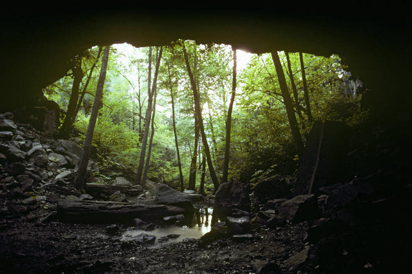 无人,横图,室外,白天,火山,森林,水,美国,树,摄影,洞穴,加利福尼亚,玄武岩,地质学,彩图,邓斯缪尔