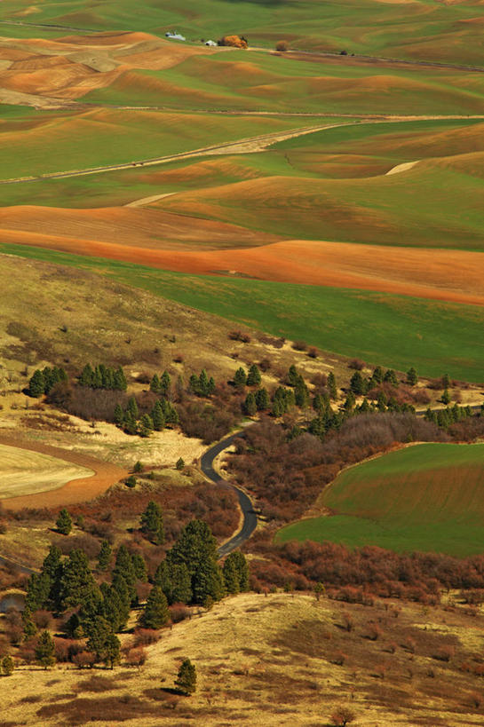 无人,农场,竖图,室外,白天,农业,小麦,美国,地形,田地,摄影,华盛顿州,彩图,旅行