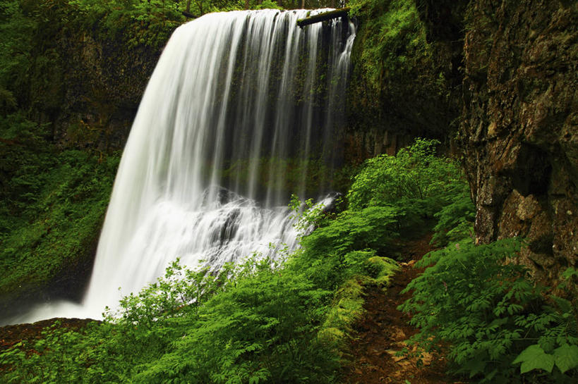 无人,横图,室外,白天,瀑布,水,美国,飞溅,溅,液体,地形,水滴,水珠,摄影,喷洒,清新,纯净,俄勒冈州,地质学,跌水,彩图