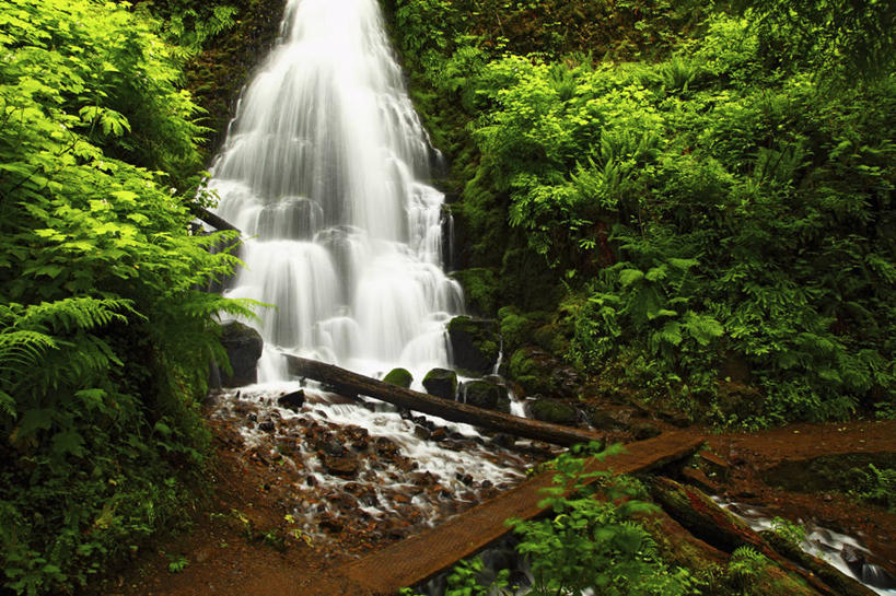 无人,横图,室外,白天,瀑布,美国,地形,摄影,清新,圆木,纯净,俄勒冈州,哥伦比亚河谷,地质学,彩图,旅行