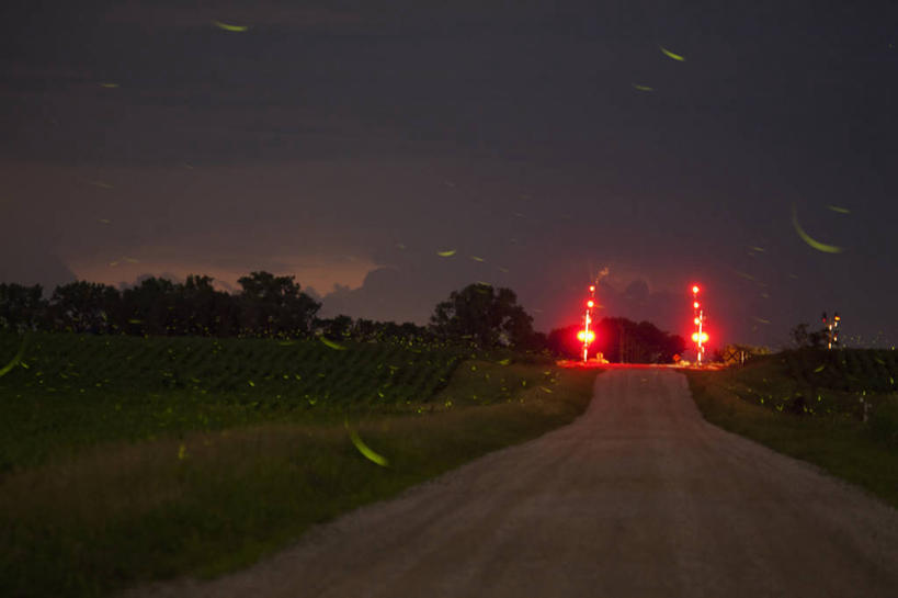 无人,横图,室外,夜晚,长时间曝光,美景,路,铁路,美国,景观,轨道,交通,铁轨,自然,动物,夏天,景色,运输,摄影,自然风光,萤火虫,彩图,爱荷华