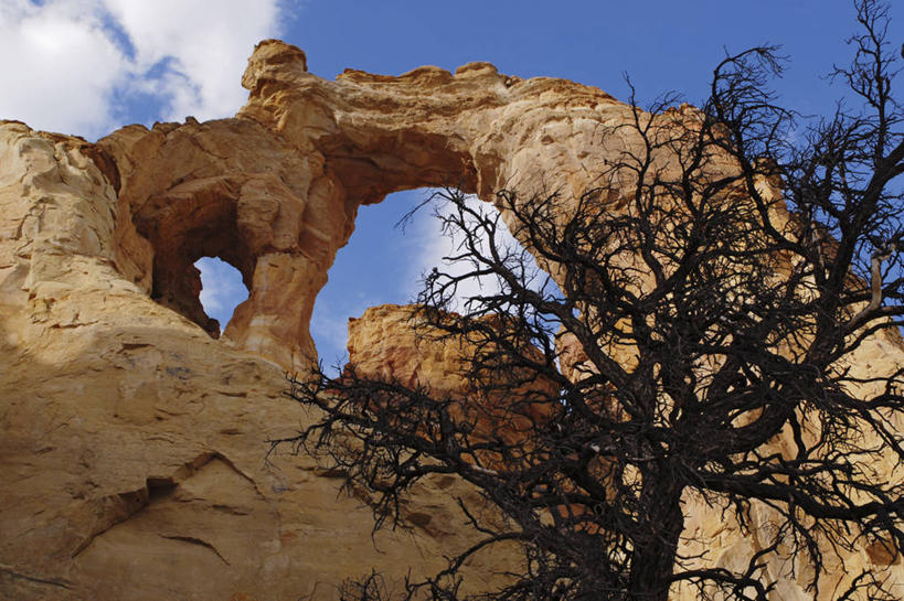 无人,横图,室外,白天,美国,树,地标建筑,摄影,地貌,犹他,地质学,沙岩,岩石,彩图,旅行