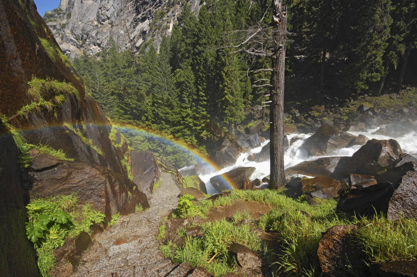 无人,横图,室外,白天,彩虹,森林,雾,美国,地形,摄影,加利福尼亚,优胜美地国家公园,彩图