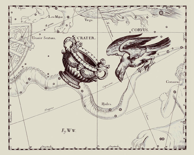 无人,横图,地图,艺术,科学,星星,摄影,星座,乌鸦,陨石坑,天文学,拉丁文,彩图,雕刻术