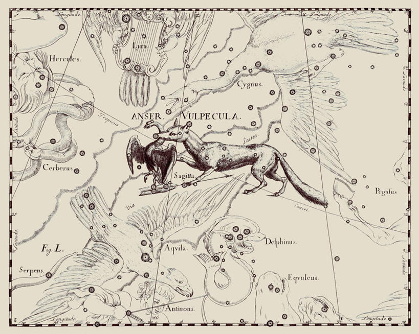 无人,横图,鹅,狐狸,地图,艺术,科学,星星,摄影,星座,天文学,拉丁文,彩图,雕刻术