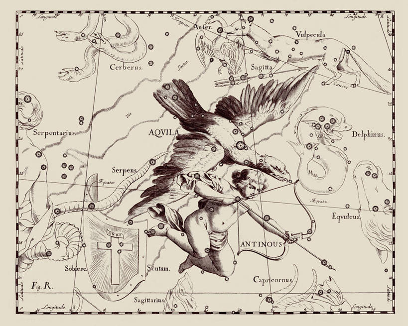 无人,横图,鹰,地图,艺术,科学,星星,摄影,星座,箭术,天文学,拉丁文,彩图,雕刻术