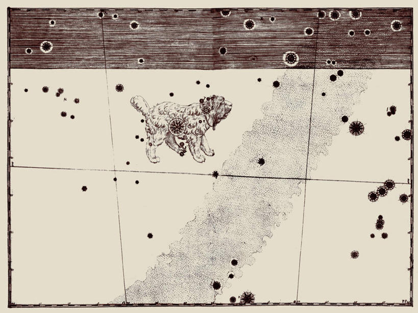 无人,横图,宇宙,狗,地图,艺术,科学,星星,自然,摄影,星座,天文,占卜,天文学,星相,占星,彩图,雕刻术