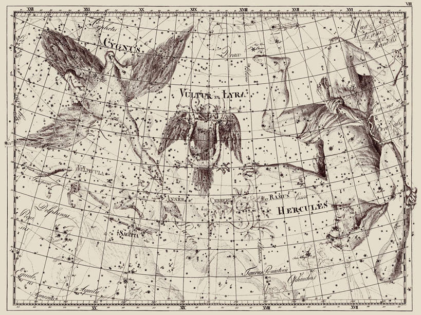 无人,横图,天鹅,地图,艺术,科学,星星,摄影,星座,天文学,大力神,拉丁文,彩图,雕刻术