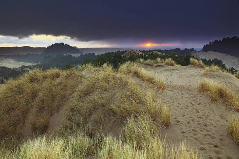 无人,横图,室外,白天,海洋,日落,暴风雨,美国,地形,沙丘,地标建筑,摄影,俄勒冈州,滨草,海滩,彩图,旅行