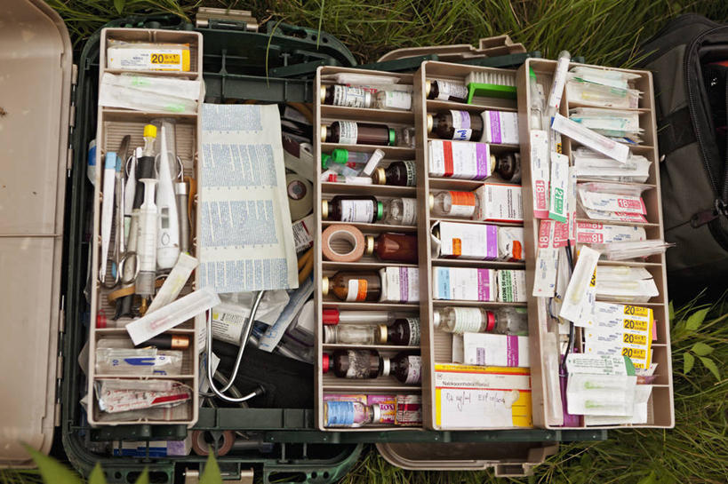 无人,横图,室外,白天,野生动物,博茨瓦纳,许多,科学,地形,很多,盒子,摄影,潘塔纳尔湿地,彩图