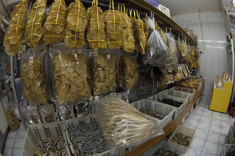 无人,商店,横图,室内,鱼眼镜头,马来西亚,环保,包,食品,工业,摄影,能源,回收,资源,利用,低碳,循环,环境保护,收集,持续,婆罗洲岛,剃刀鱼,哥打基纳巴卢,沙巴州,海产,彩图