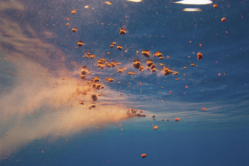 无人,横图,白天,水下,野生动物,斯里兰卡,自然,动物,摄影,印度洋,蓝鲸,粪便,彩图